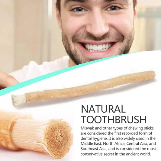 1 pack Portable Miswak Siwak Natural Toothbrush